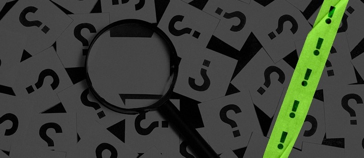 What You Need to Know About BangBet