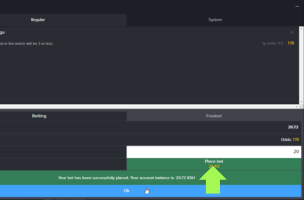 MozzartBet How to bet step 3
