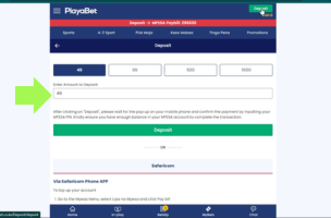 PlayaBet Deposit step 2