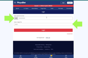 PlayaBet Log in step 2