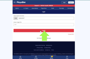 PlayaBet Log in step 3