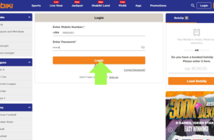 Shabiki Log In step 3