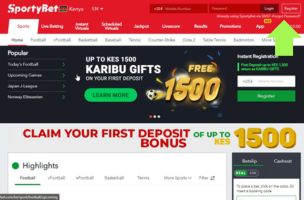 Sportybet How to Recover a Password step 1